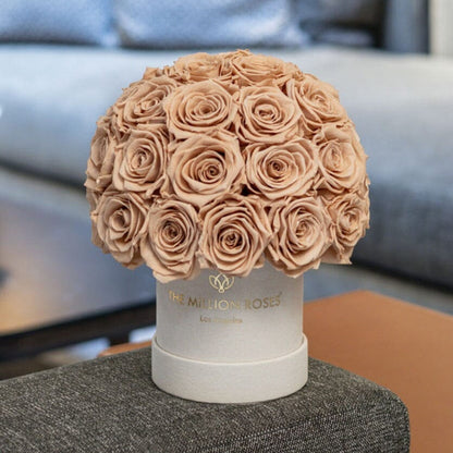 Basic Beige Suede Superdome Box | Sand Roses