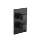 Flusso 160.4000T Trim For Thermostatic Valve
