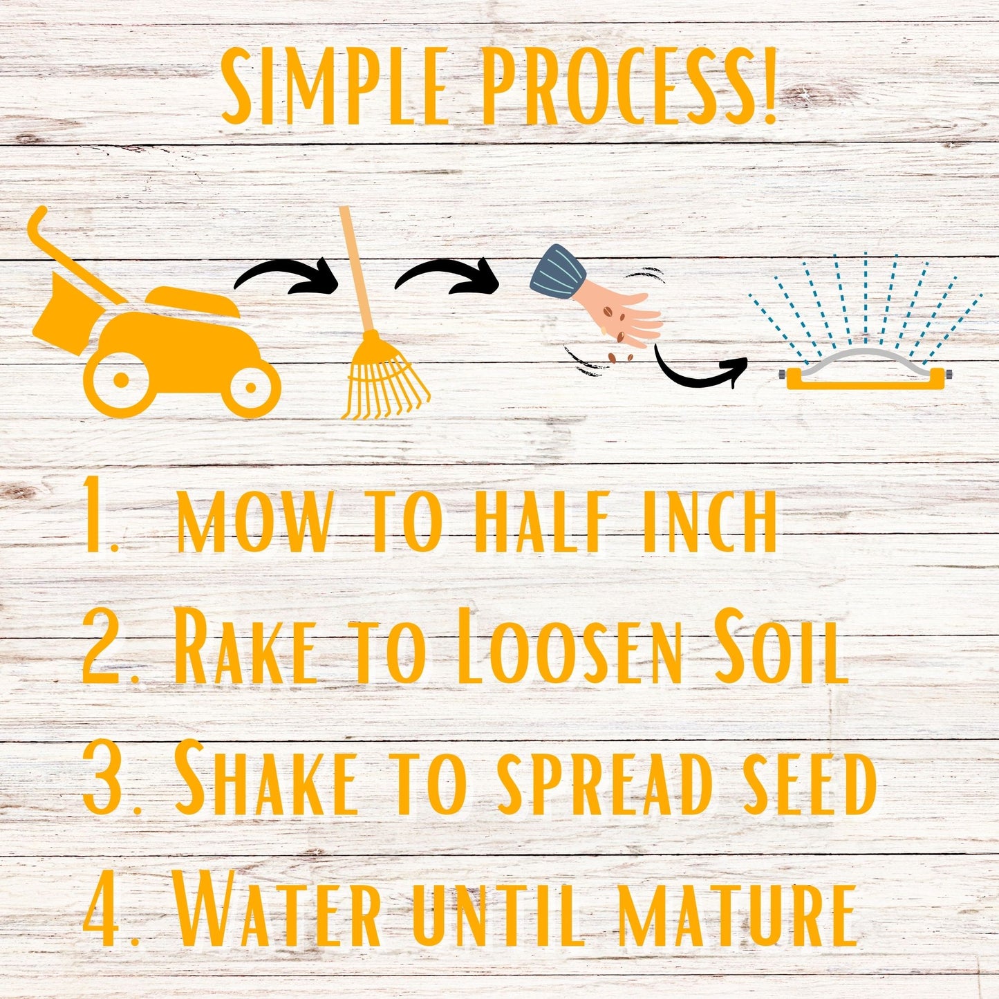 Yaak Yarrow 'Turf-Type' Seed