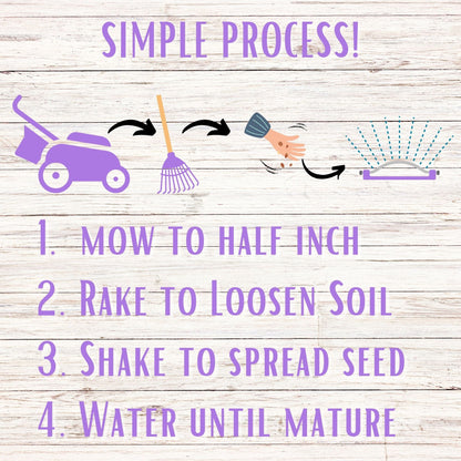 Self-Heal Seed Pouch