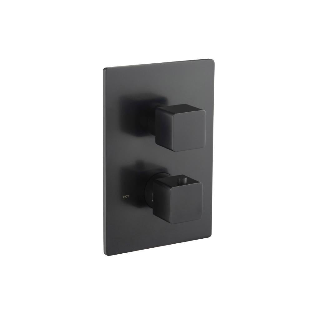 Flusso 196.4421 3/4 " Thermostatic Valve & Trim - With 2-Way Diverter - 2 Output