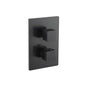 Flusso 196.4301 3/4" Thermostatic Valve & Trim - 3 Output