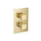 Flusso 196.4421 3/4 " Thermostatic Valve & Trim - With 2-Way Diverter - 2 Output
