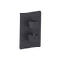 Flusso 196.4101 3/4" Thermostatic Shower Valve & Trim - 1 Output
