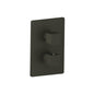 Flusso 196.4101 3/4" Thermostatic Shower Valve & Trim - 1 Output