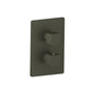 Flusso 196.4101 3/4" Thermostatic Shower Valve & Trim - 1 Output