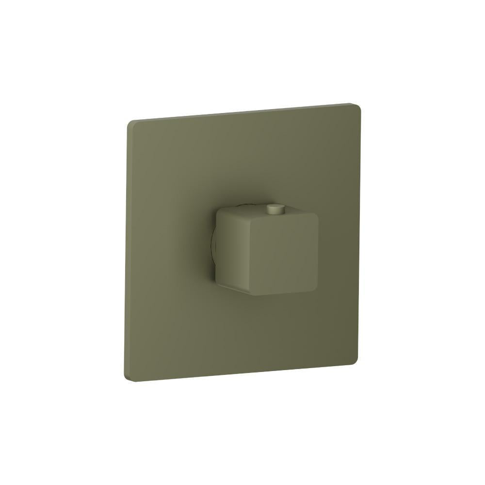 Flusso 196.4201 3/4" Thermostatic Valve With Trim