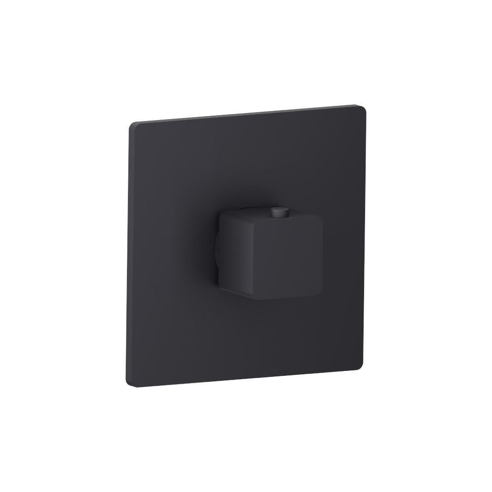 Flusso 196.4201 3/4" Thermostatic Valve With Trim