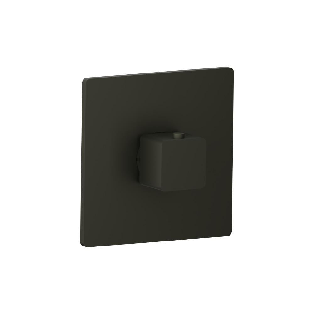 Flusso 196.4201 3/4" Thermostatic Valve With Trim