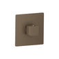 Flusso 196.4201 3/4" Thermostatic Valve With Trim