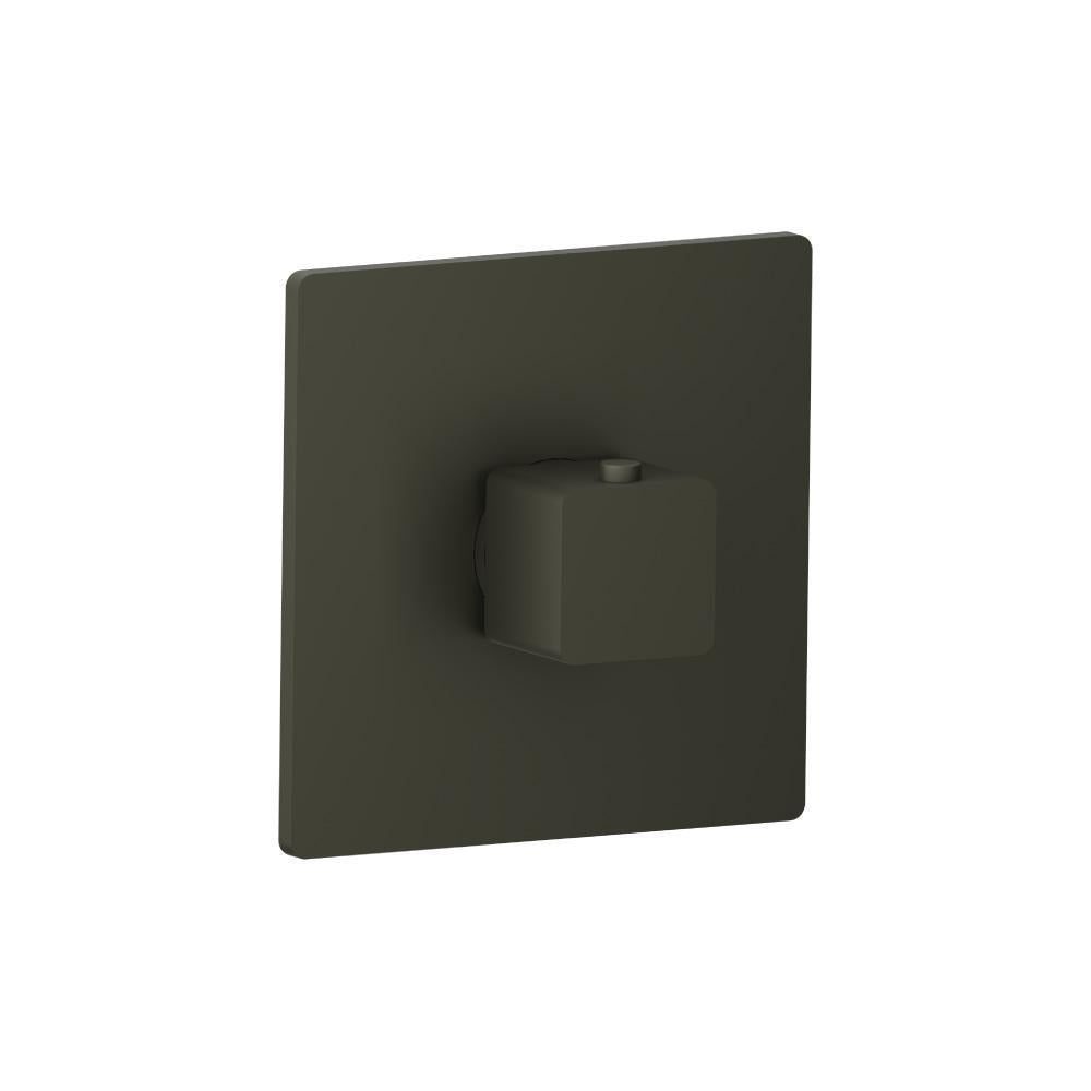 Flusso 196.4201 3/4" Thermostatic Valve With Trim