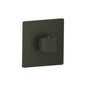 Flusso 196.4201 3/4" Thermostatic Valve With Trim