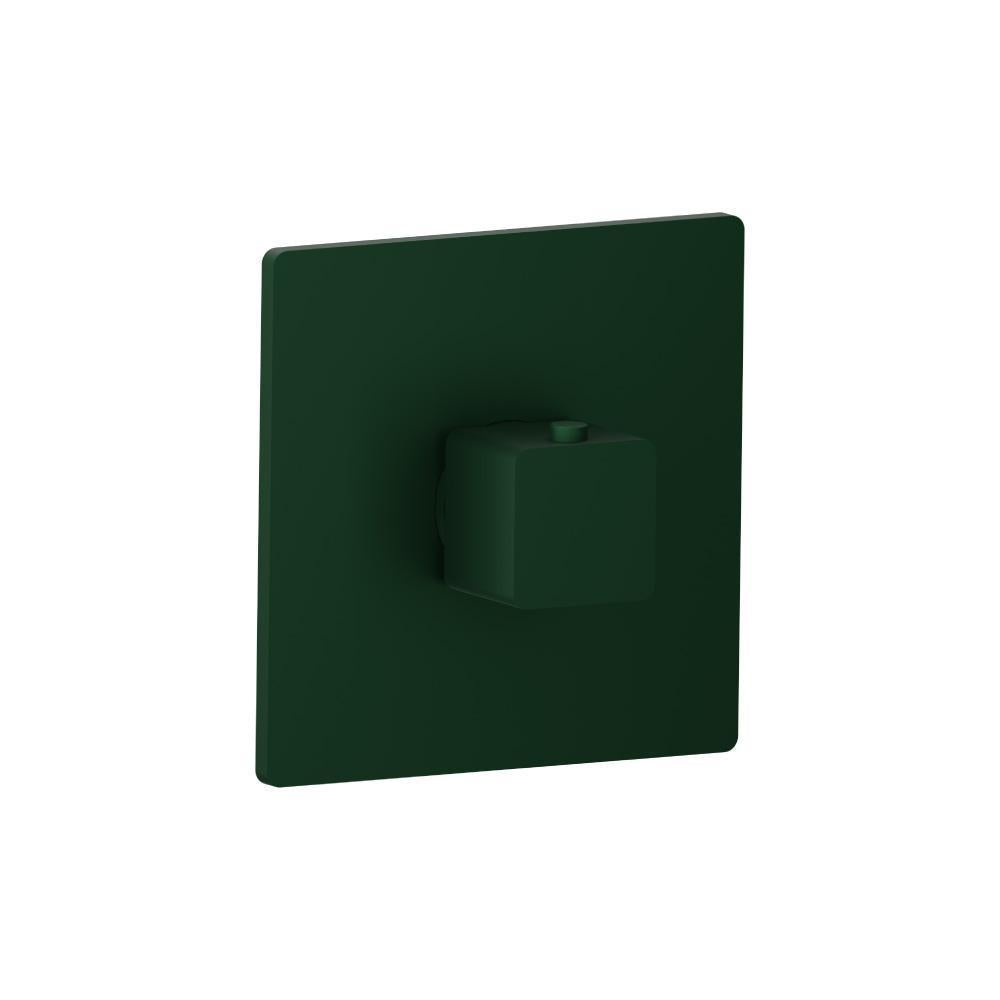 Flusso 196.4201 3/4" Thermostatic Valve With Trim
