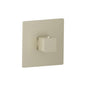 Flusso 196.4201 3/4" Thermostatic Valve With Trim