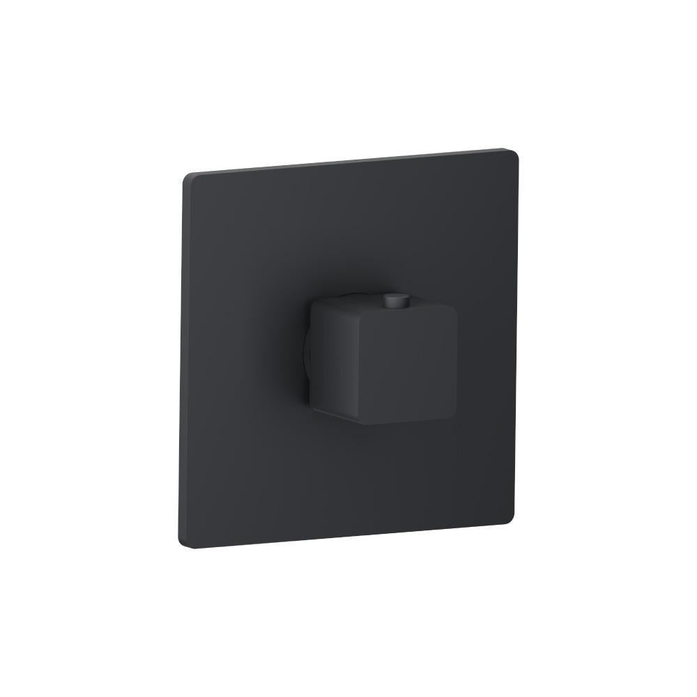 Flusso 196.4201 3/4" Thermostatic Valve With Trim