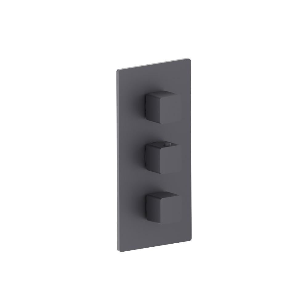 Flusso 196.4401 3/4" Thermostatic Valve and Trim - 2 Outputs