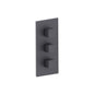 Flusso 196.4401 3/4" Thermostatic Valve and Trim - 2 Outputs