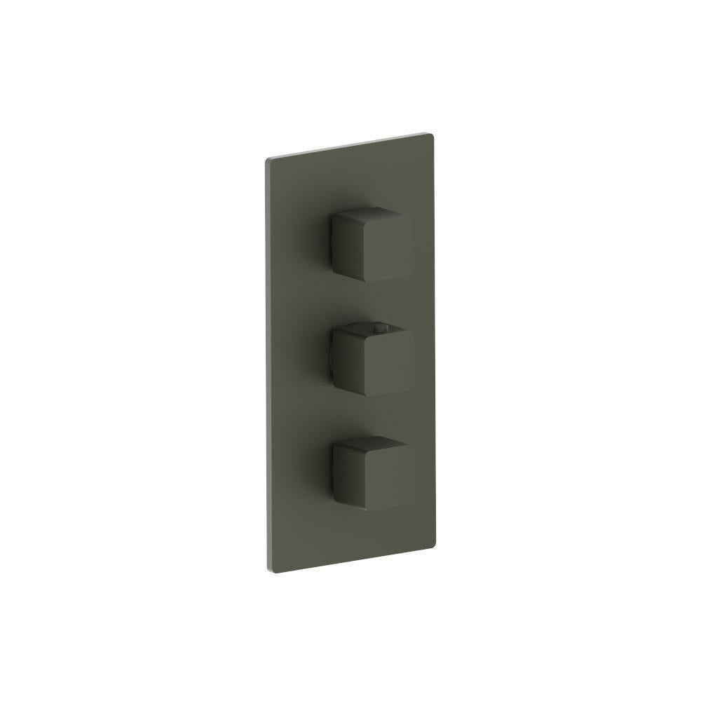 Flusso 196.4401 3/4" Thermostatic Valve and Trim - 2 Outputs