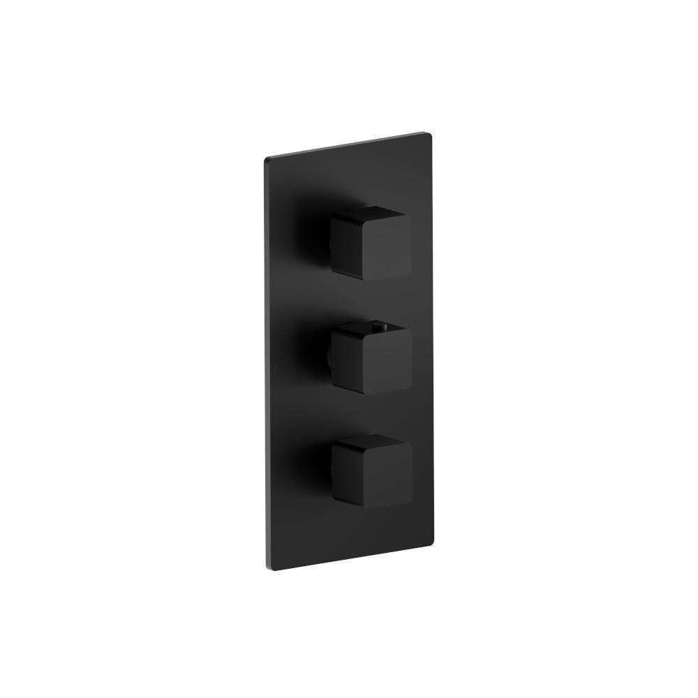 Flusso 196.4401 3/4" Thermostatic Valve and Trim - 2 Outputs