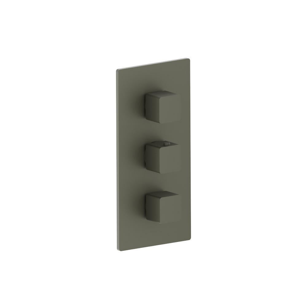 Flusso 196.4401 3/4" Thermostatic Valve and Trim - 2 Outputs