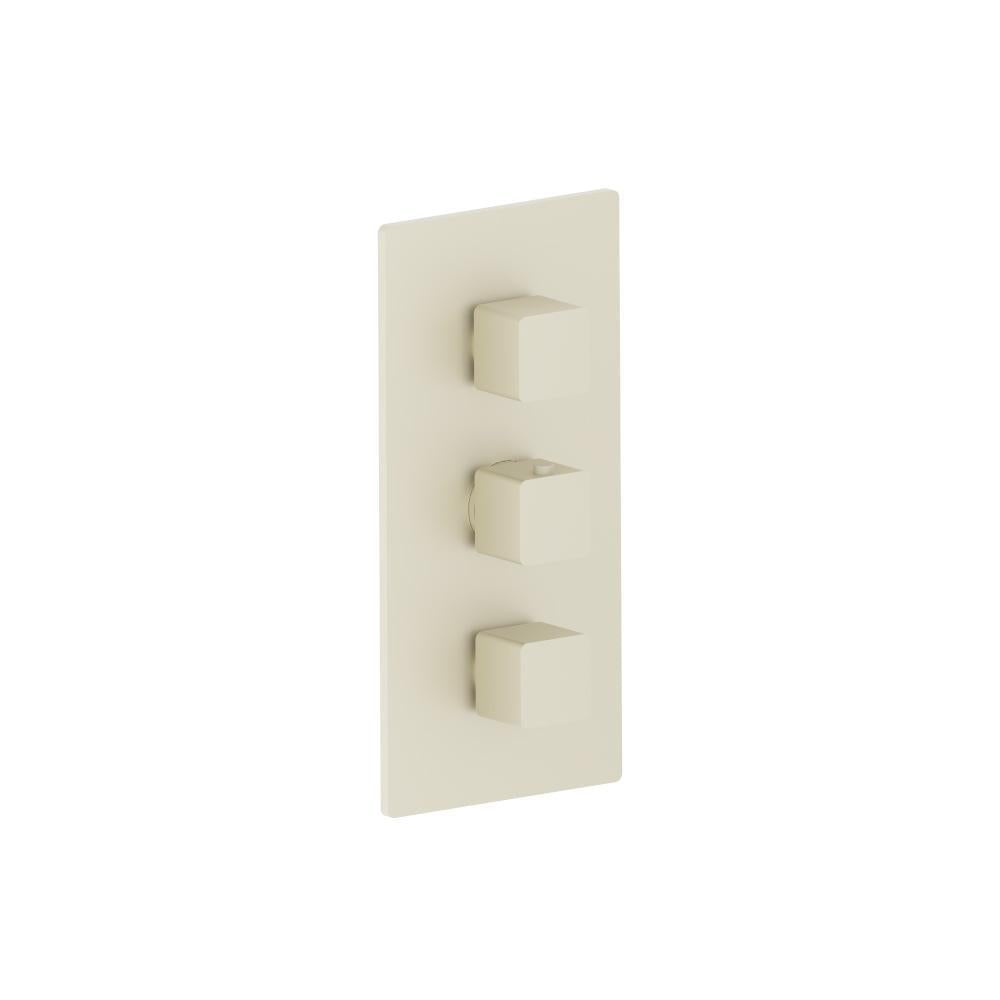 Flusso 196.4401 3/4" Thermostatic Valve and Trim - 2 Outputs