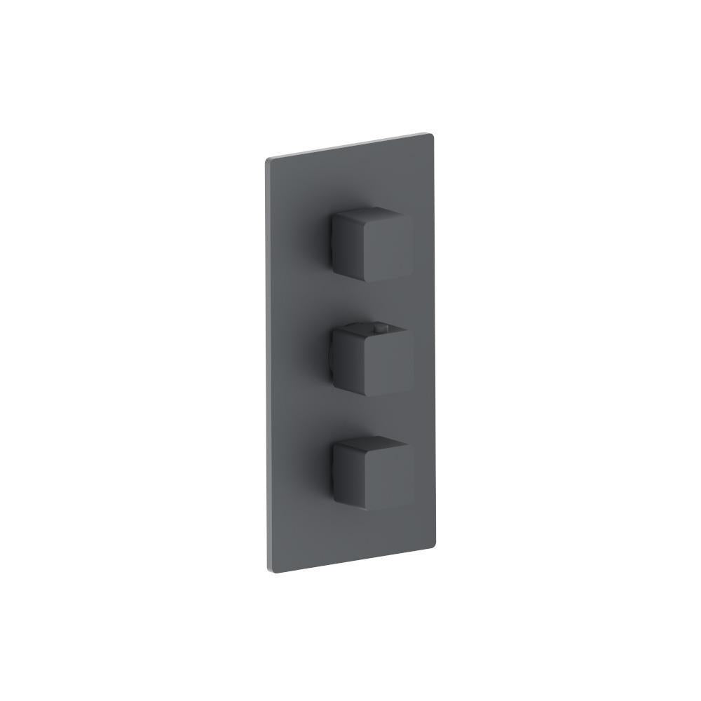 Flusso 196.4401 3/4" Thermostatic Valve and Trim - 2 Outputs