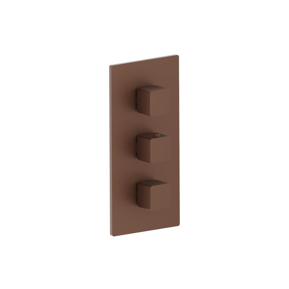 Flusso 196.4401 3/4" Thermostatic Valve and Trim - 2 Outputs