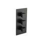 Flusso 196.4401 3/4" Thermostatic Valve and Trim - 2 Outputs