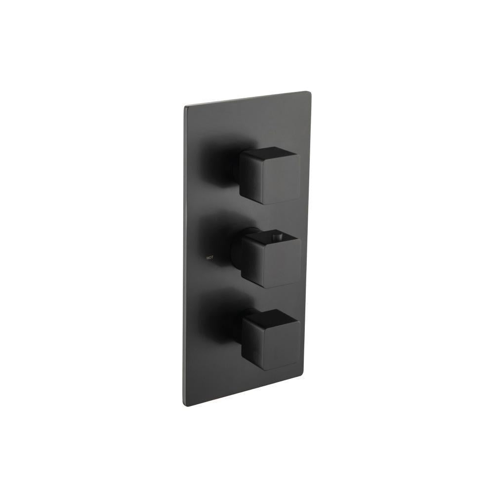 Flusso 196.4500T Trim For Thermostatic Valve