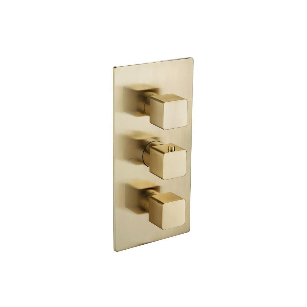 Flusso 196.4401 3/4" Thermostatic Valve and Trim - 2 Outputs