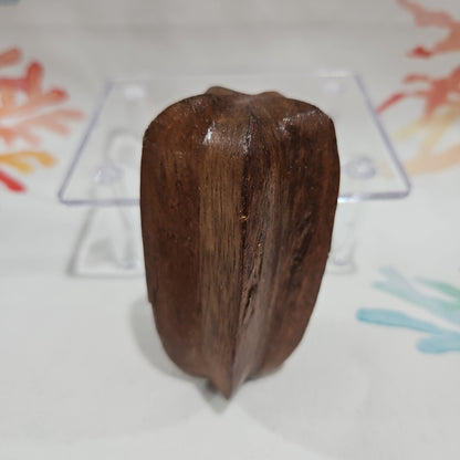 1960's Vintage Wooden Fruit