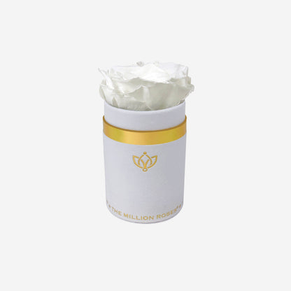 Single White Suede Box | White Rose