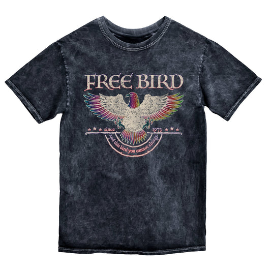Free Bird Shirt, Mineral Wash Band TShirt, Old School Band T-shirt, Retro Music Shirt, Rock Band Tee