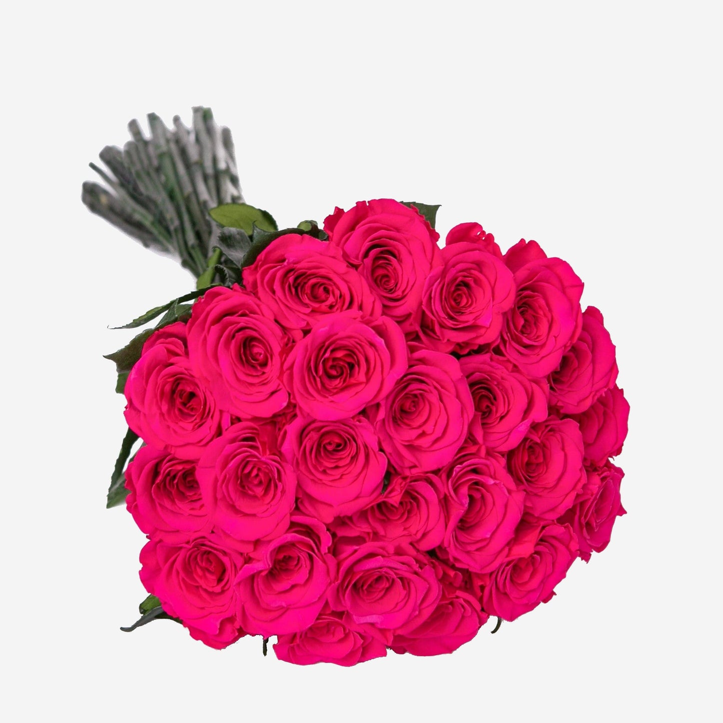 Long Stem Roses | Hot Pink Roses