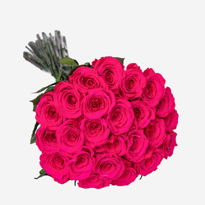 Long Stem Roses | Hot Pink Roses