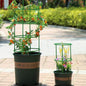 No-Fuss Plant Supports – Perfect for Flowers, Fruits & Veggies!