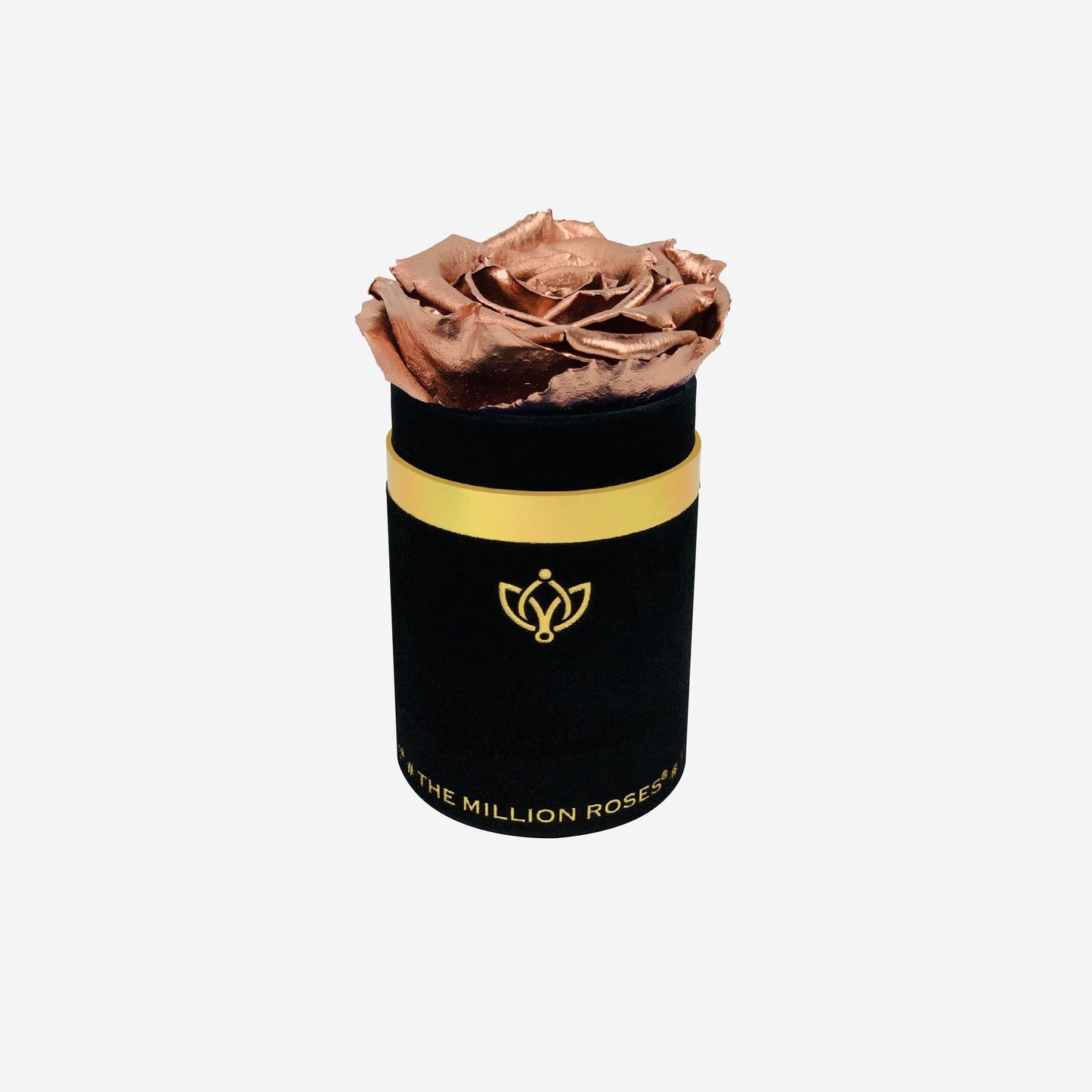 Single Black Suede Box | Rose Gold Rose