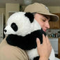 The Paudy Panda – Emotional Healing Plush Toy That Comforts and Hugs You Back