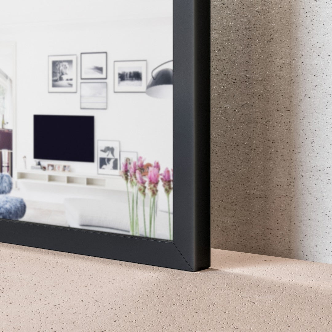 Eviva Black Black Metal Framed Mirror