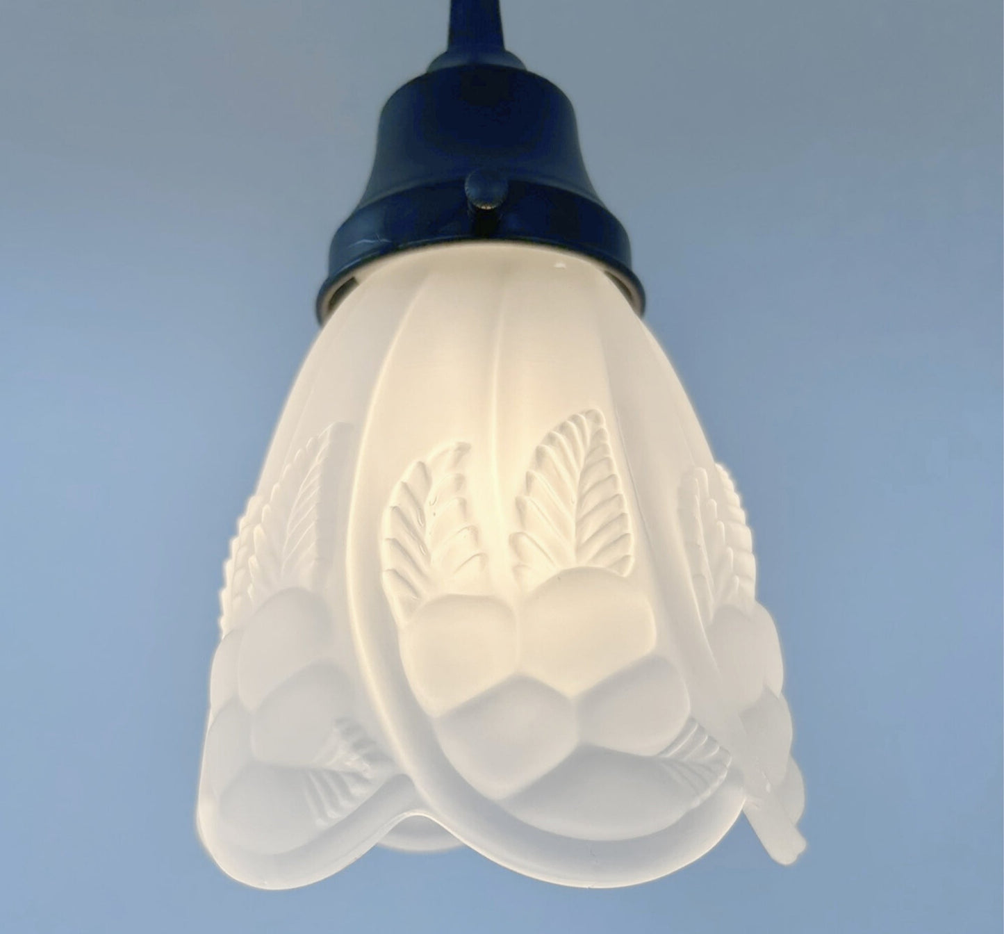 Frosted Embossed Fruit and Leaf Sconce or Pendant