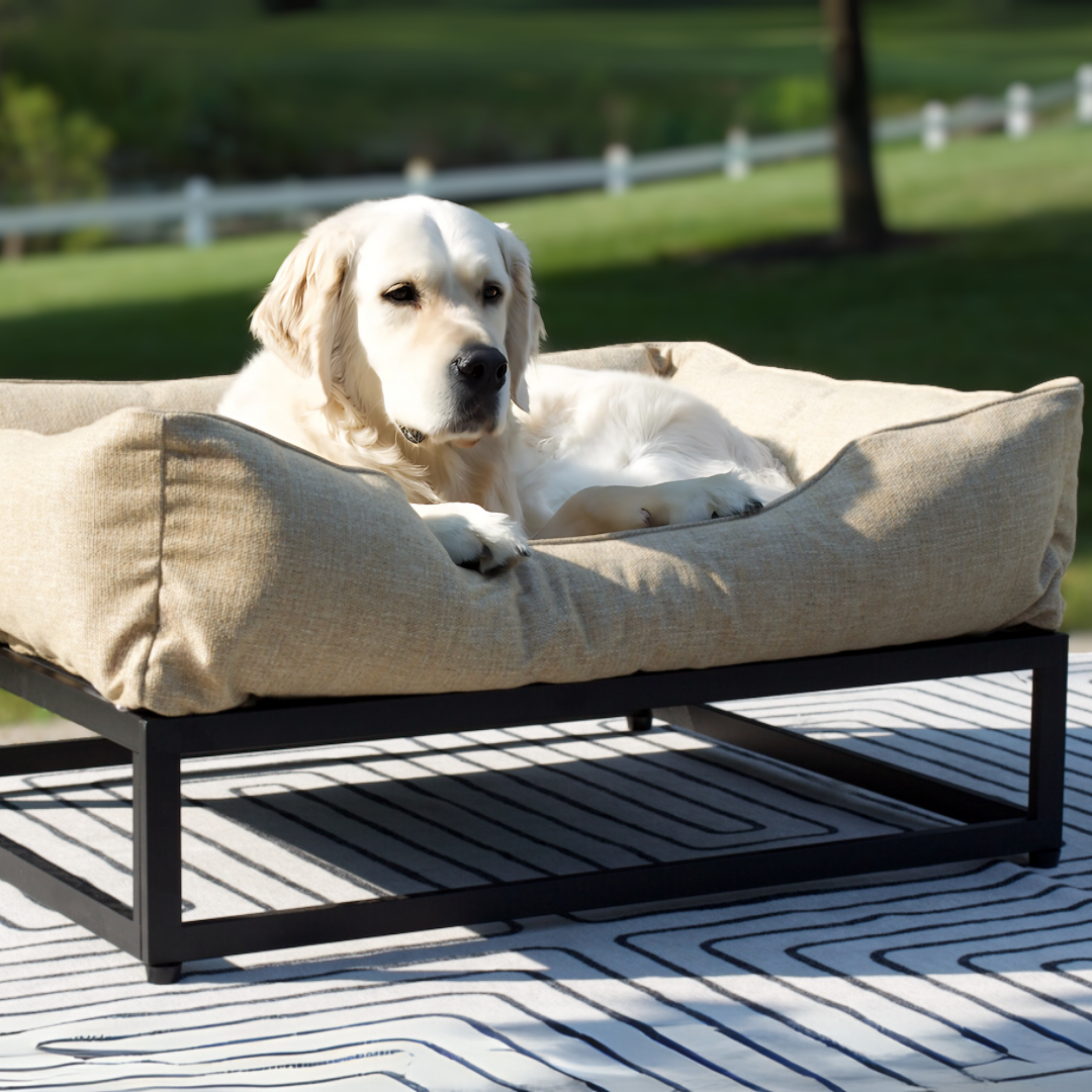 The FÜZI Dog Bed