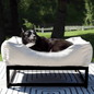 The FÜZI Dog Bed