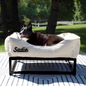 The FÜZI Dog Bed