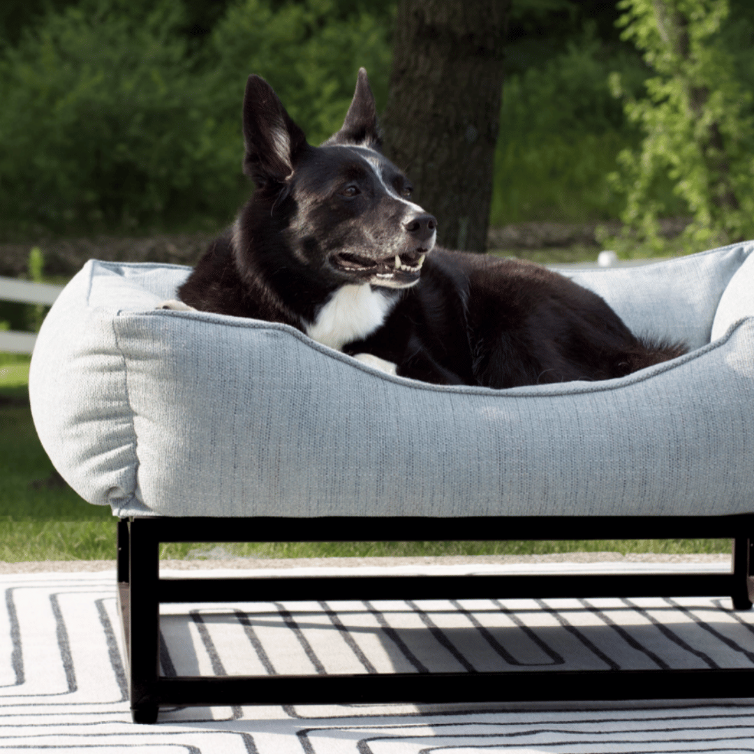 The FÜZI Dog Bed