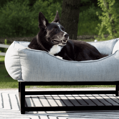 The FÜZI Dog Bed