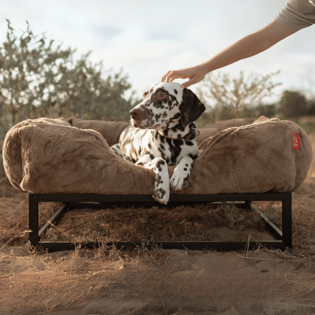 The FÜZI Dog Bed