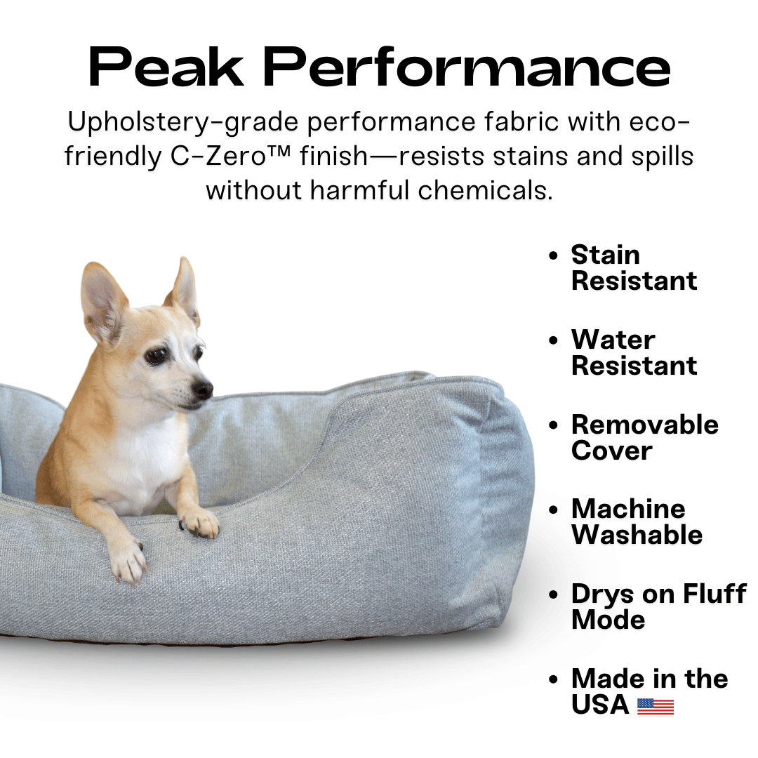 The Sammy Dog Bed
