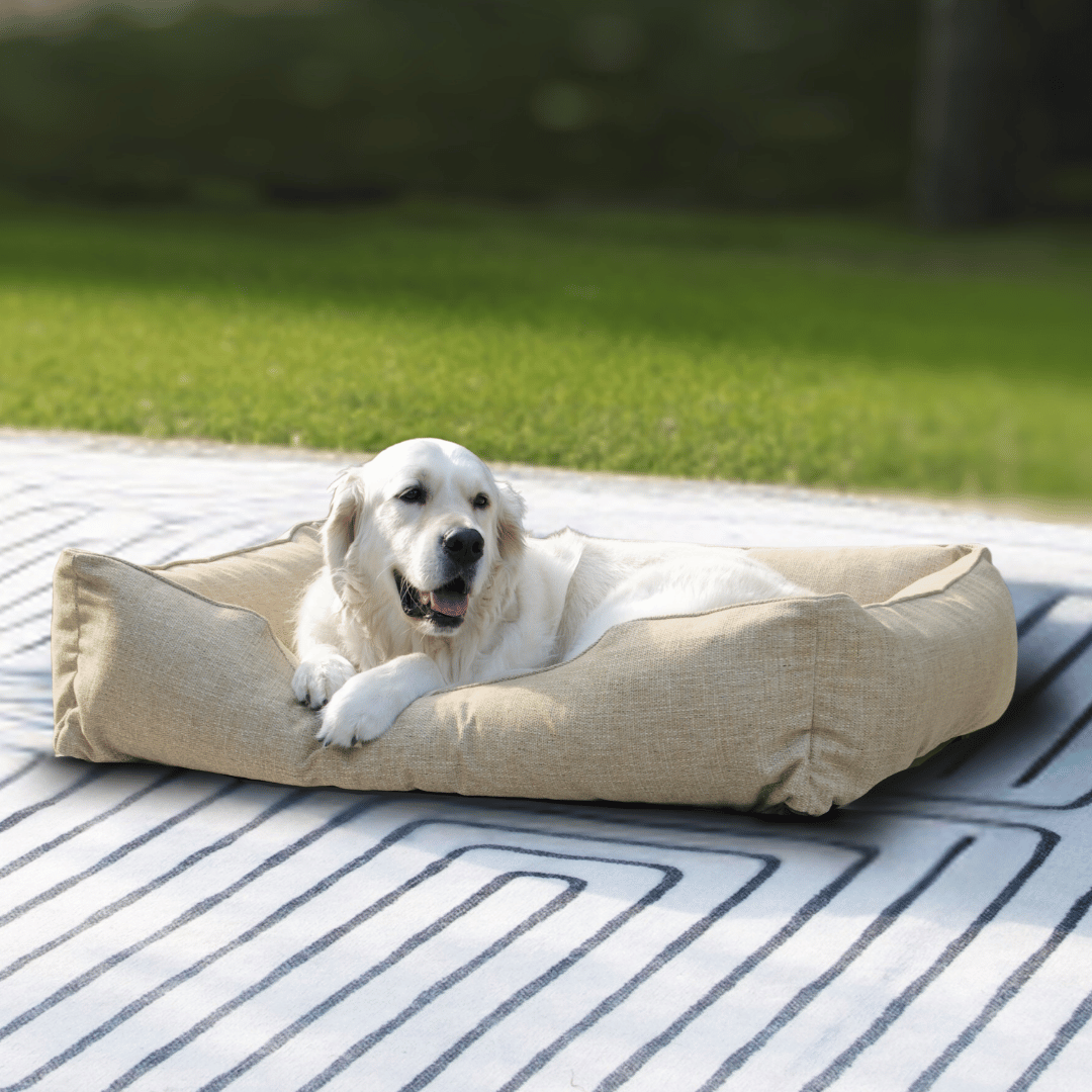 The Sammy Dog Bed