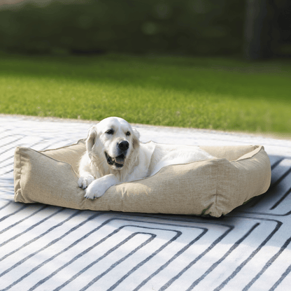 The Sammy Dog Bed