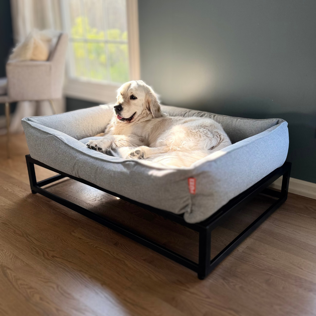The FÜZI Dog Bed